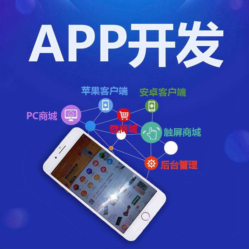 安卓苹果APP开发